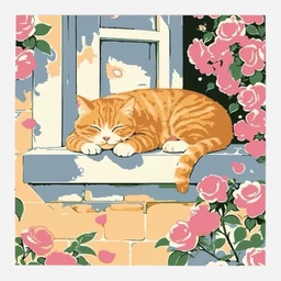 OVJ Paint By Numbers Kit 20cm x 20cm Cat Nap