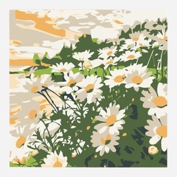 OVJ Paint By Numbers Kit 20cm x 20cm Eye Of A Day