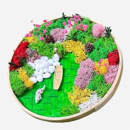 [OVJ 8888888831131] OVJ Bamboo Tray Nature Scene 22cm Kit - Rafting In A Garden